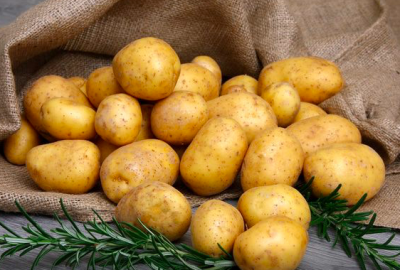 Вирощуємо та прибираємо картопля за допомогою мінітрактору