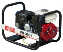 Бензиновий генератор Fogo FH3001