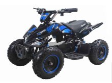 Електроквадроцикл Forte ATV800NE Електроквадроцикл Forte ATV800NE
