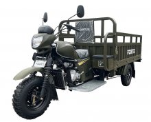 Грузовой мотоцикл FORTE ATV250ZH-T