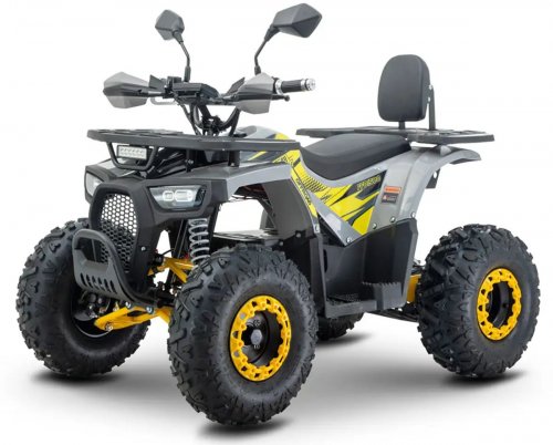 Электроквадроцикл Forte FFD1500