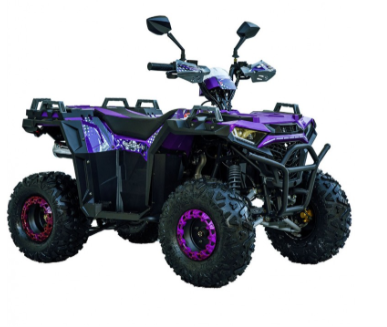 Квадроцикл Spark SP 125-11
